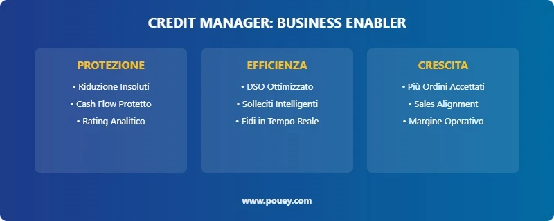 credit manager business enabler